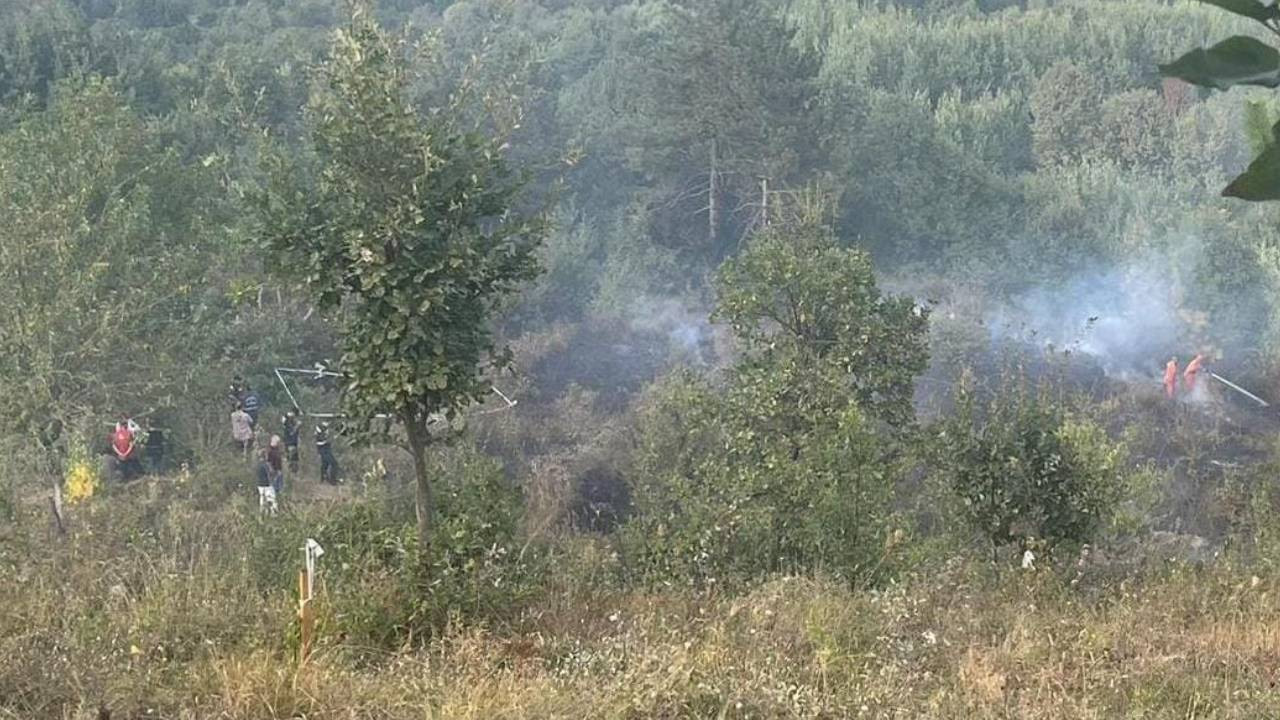 Bahçesindeki otları temizlemek için ateş yaktı, dumandan etkilenip öldü