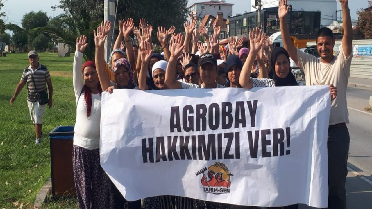 Agrobay işçileri tazminatları ve maaşları için bir aydır eylemde