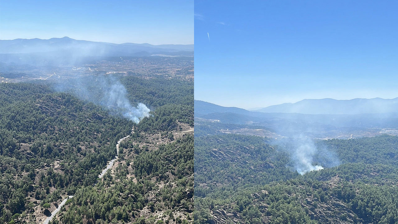 Muğla’da orman yangını