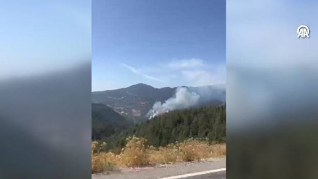 Antalya'nın Kaş ilçesinde orman yangını çıktı