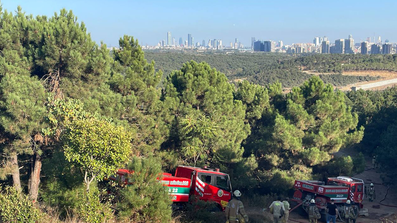 Sultangazi'de ormanlık alanda çıkan yangın kontrol altına alındı