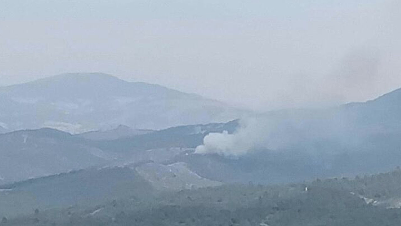 Manisa'da orman yangını