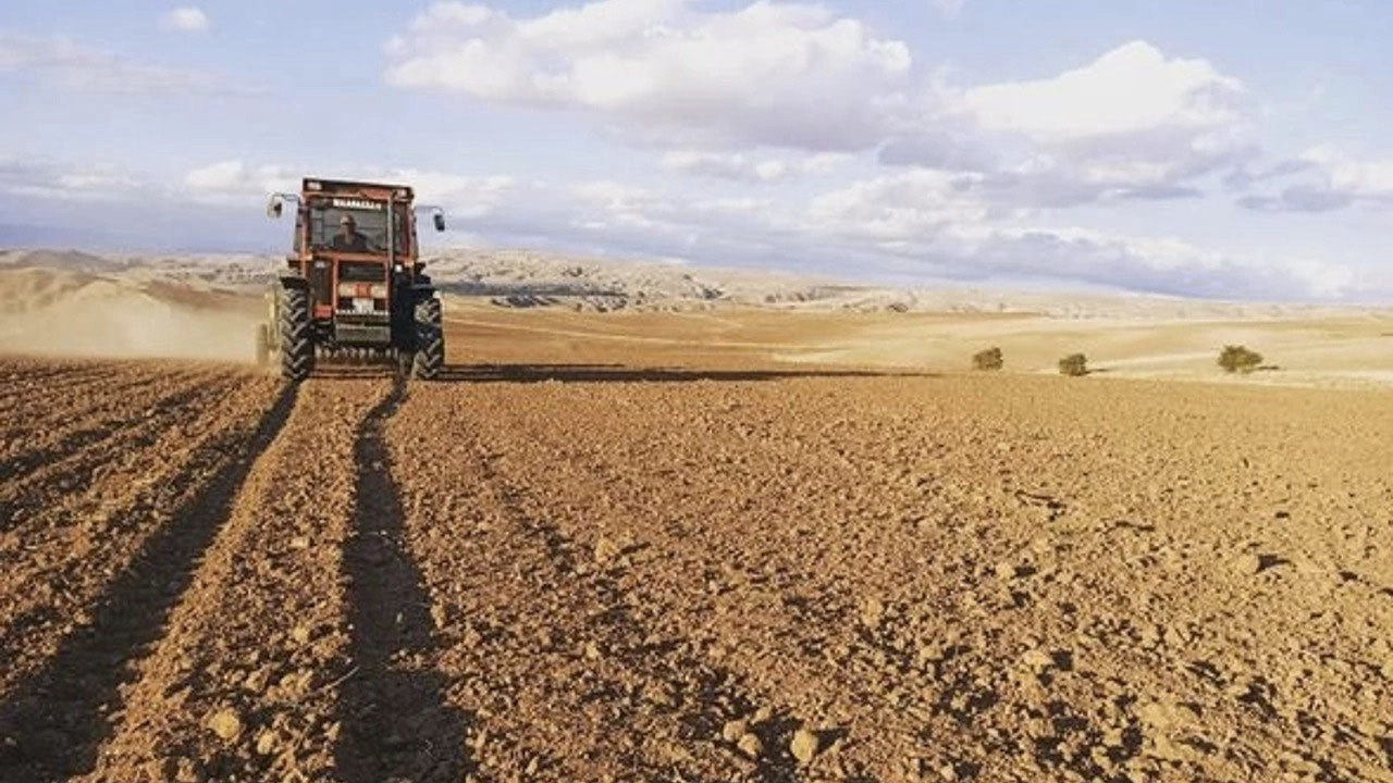 Kuraklıkla mücadele eden Edirne'de çiftçiler zorda: Yağış gelmezse buğday ekiminde sorunlar yaşanabilir