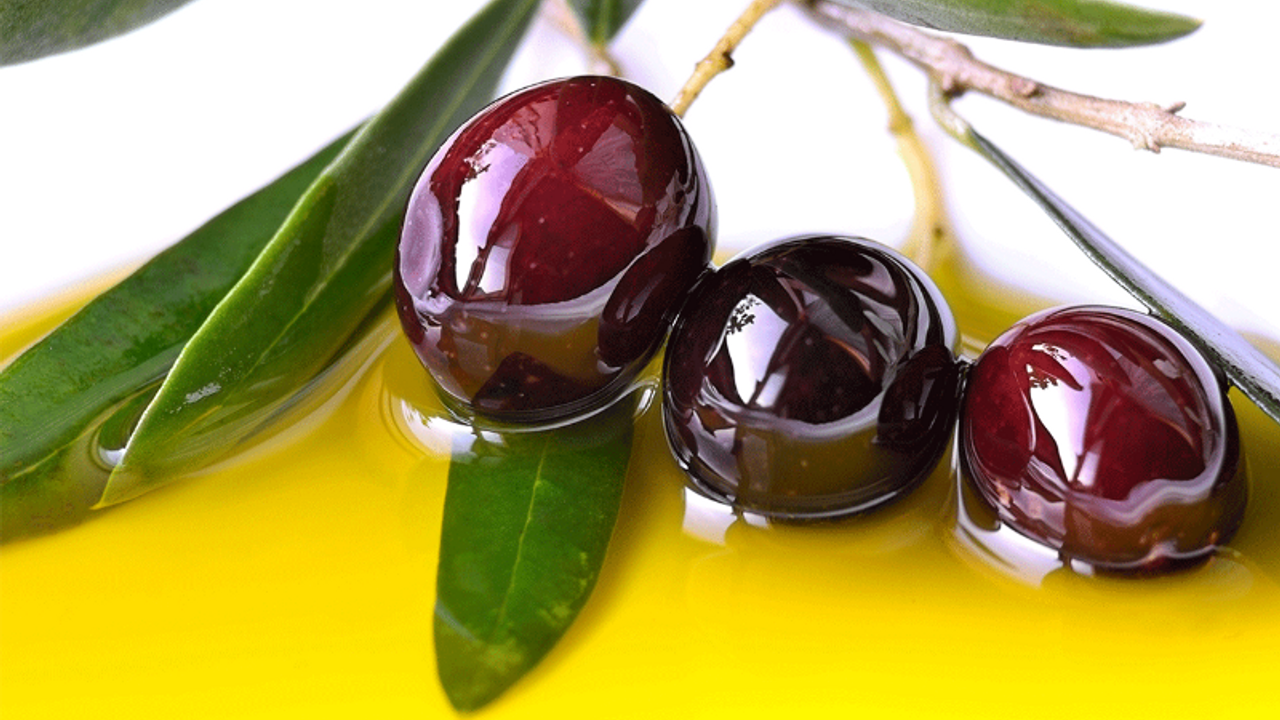 Taneyle zeytin satma dönemi başlıyor