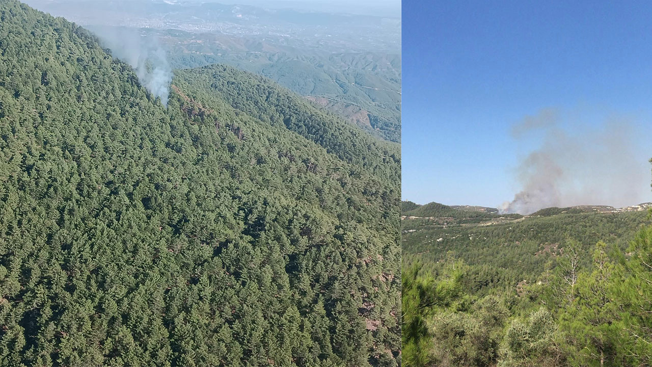 Hatay'da çıkan orman yangınına müdahale ediliyor