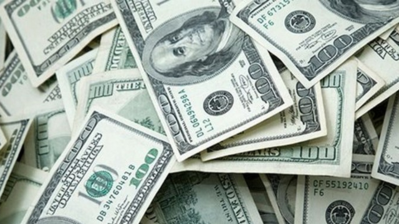 Merkez Bankası'ndan dolar hamlesi