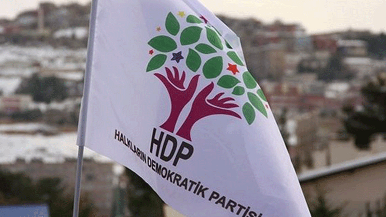 HDP Ergani ilçe eş başkanı tutuklandı