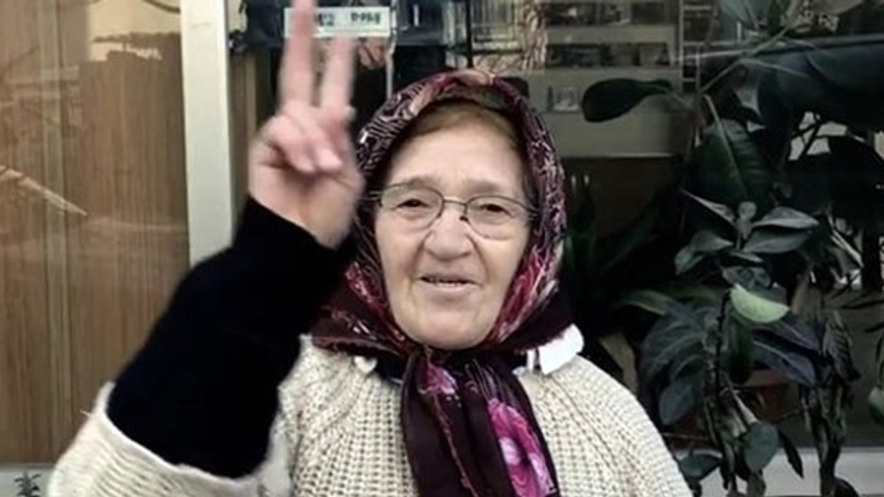 AKP'li yazarın ablası 'Hayır' klibinde