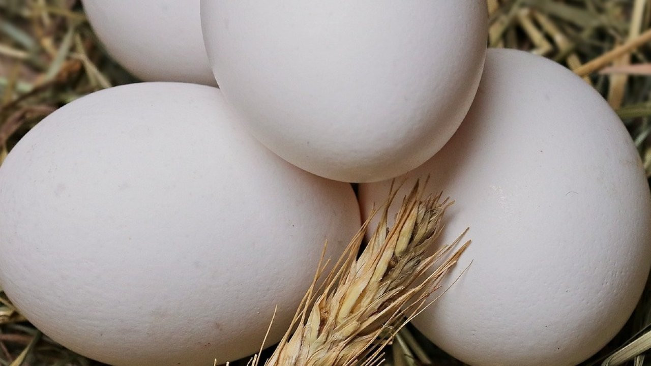 Yumurtayı buzdolabında saklarken dikkat etmeniz gerekenler! Yoksa besin değeri gidiyor