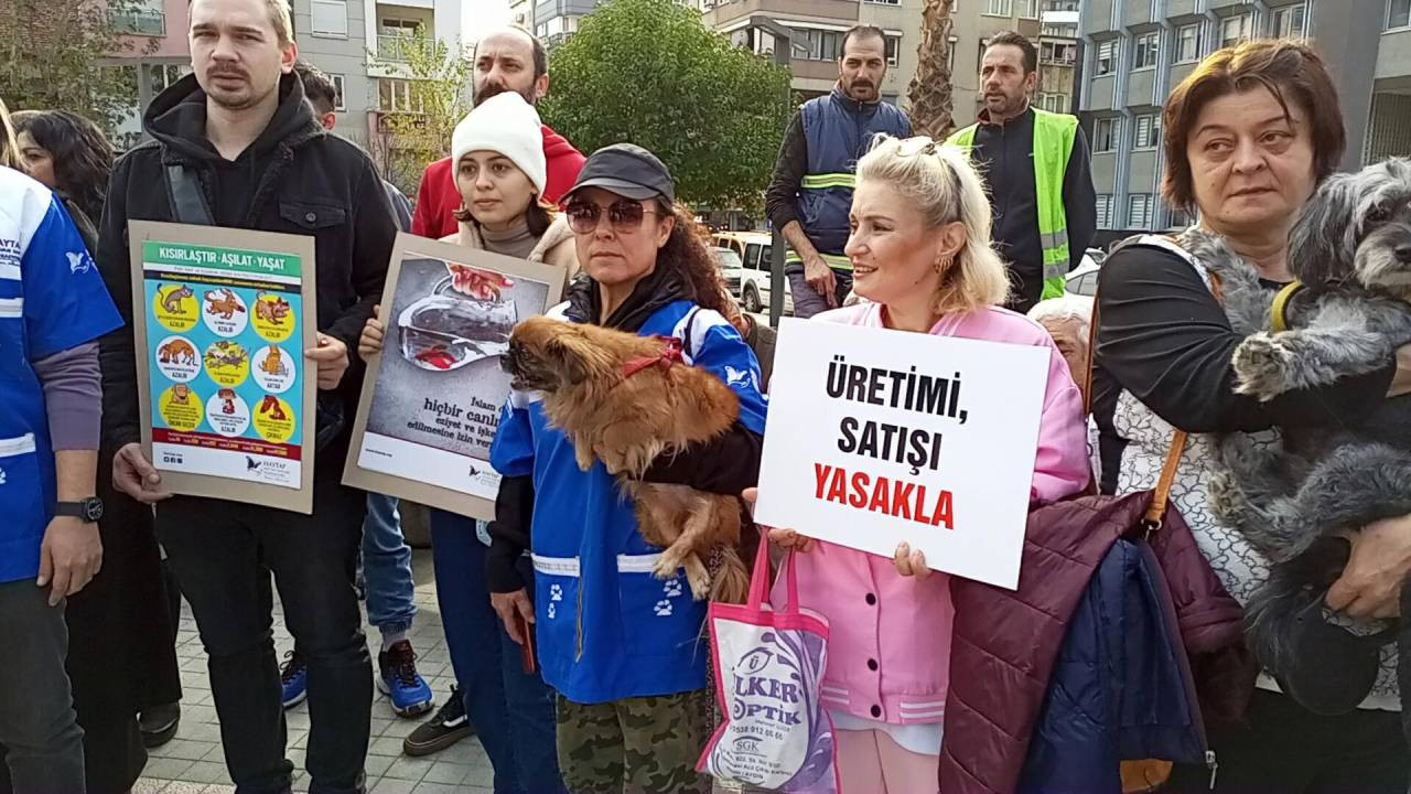 Aydın'da hayvanseverlerden katledilen 30 köpek ve üç tilki için protesto