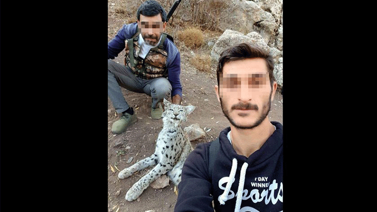 Öldürdükleri vaşakla poz verip, fotoğrafı paylaştılar