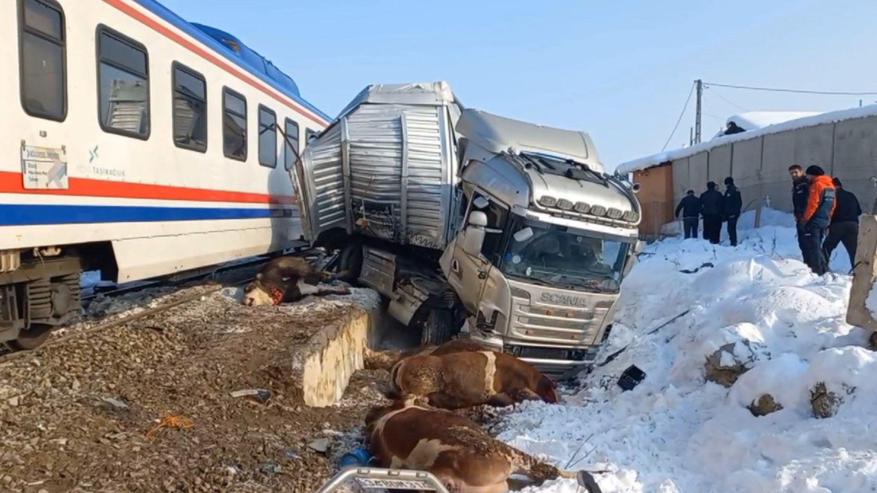 Muş'ta yolcu treni ile hayvan taşıyan tır çarpıştı: İki kişi ve çok sayıda hayvan öldü
