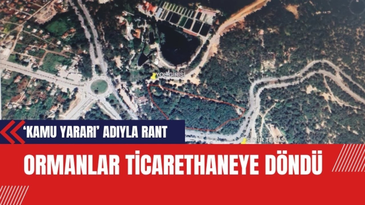 Bir ihale daha: Antalya'daki ormanlar ticarethaneye döndü