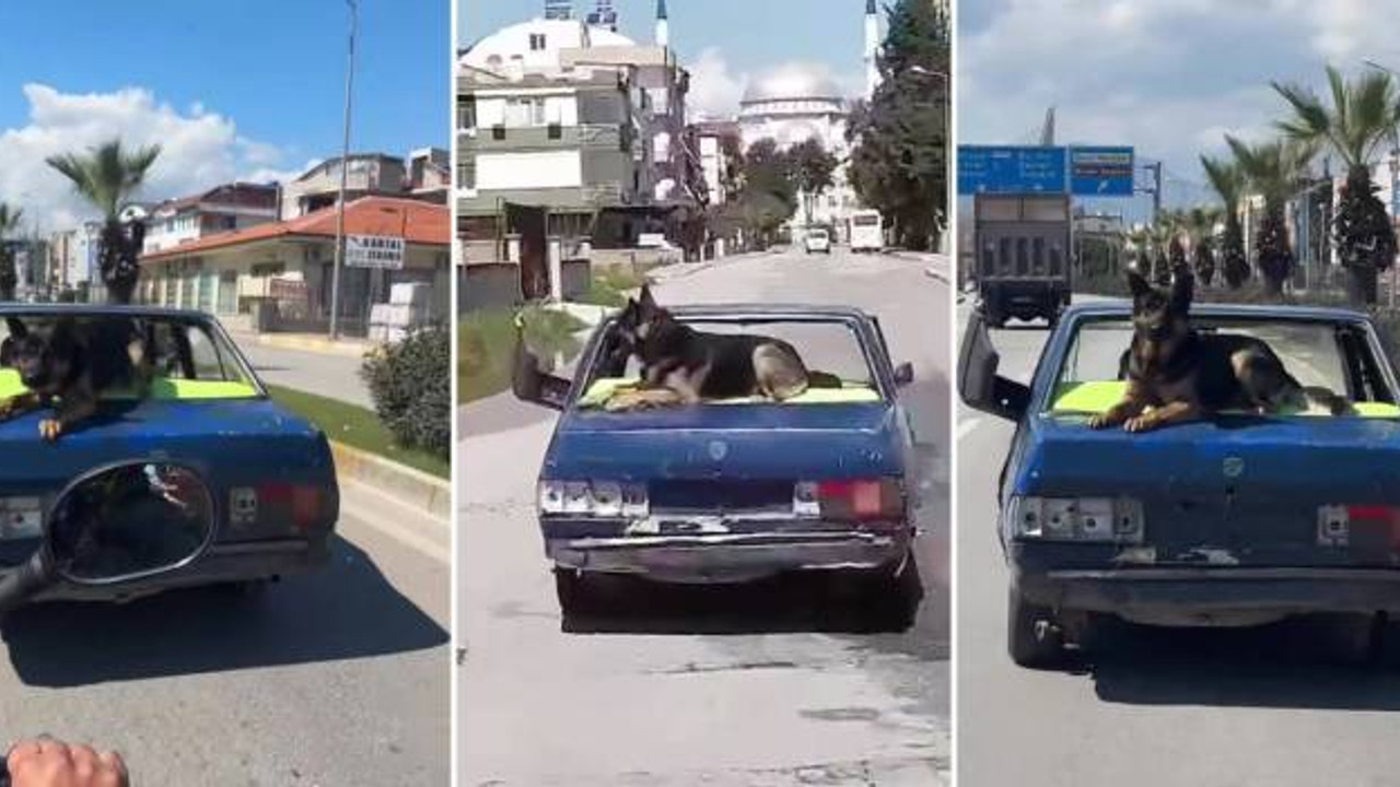 Antalya'da hurda otomobil üstünde köpekle kilometrelerce yol gitti