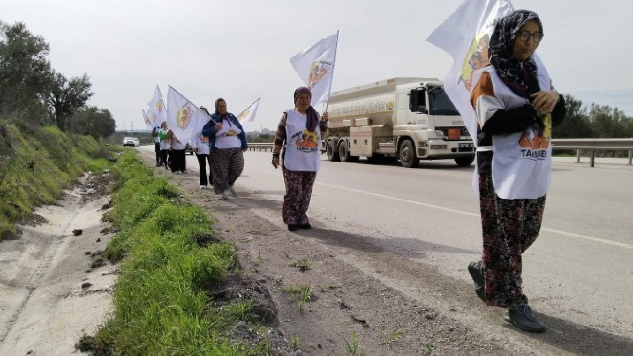 Agrobay işçileri Ankara'ya yürüyor: Bizi bu yola düşürenler utansın