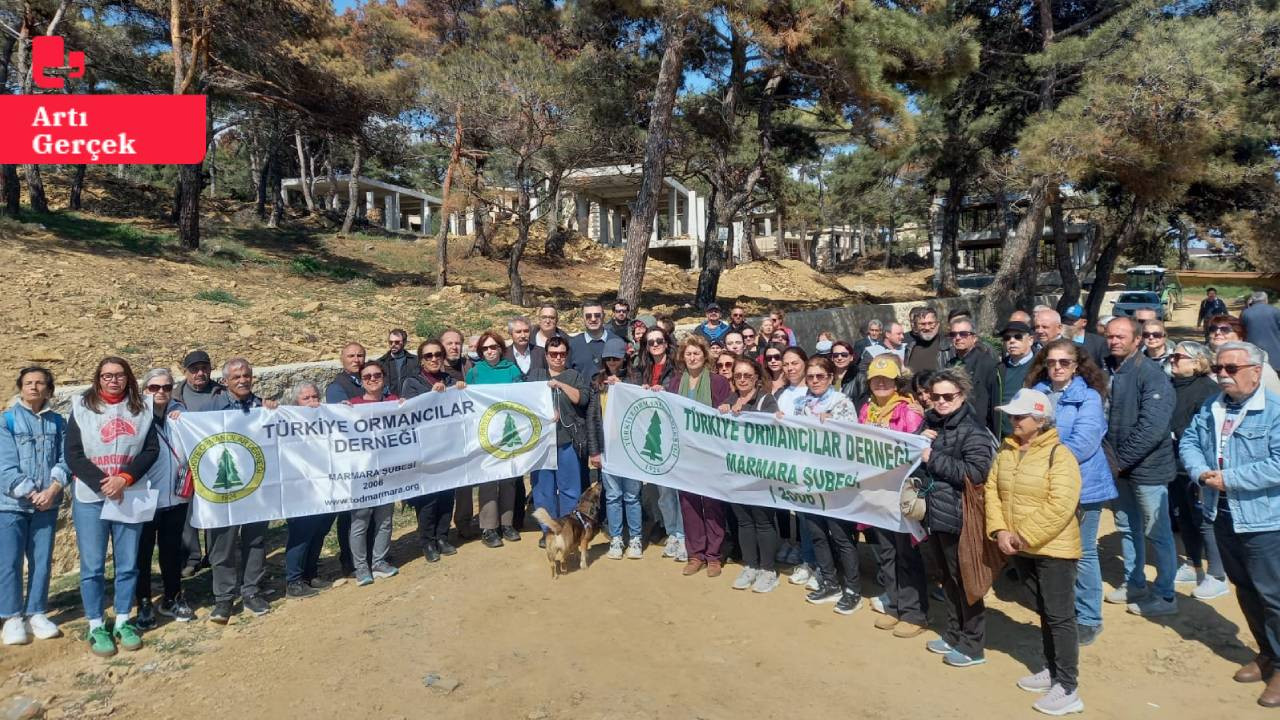 Saros Körfezi'nde çam ormanına beton: 'Kamusal alanda kıyım ve talan'