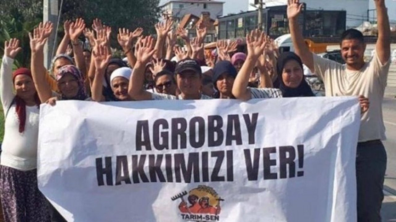 Yedi aydır direnişte olan Agrobay işçileri ilk kazanımlarını elde etti: 'Maaşları ve yıllık izinleri ödendi'