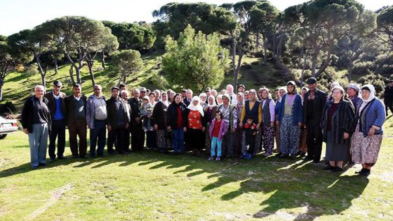 Mücadeleleri fıstık ağaçları için