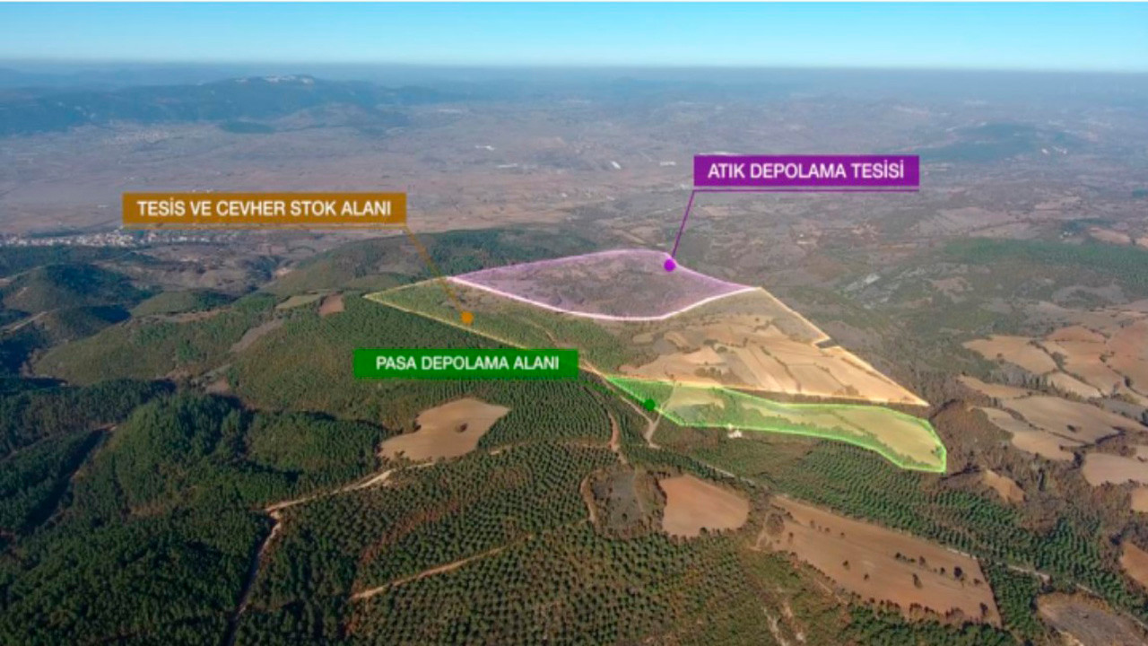 Balıkesir'de altın madenine karşı dava süreci devam ederken yüzlerce ağaç kesildi