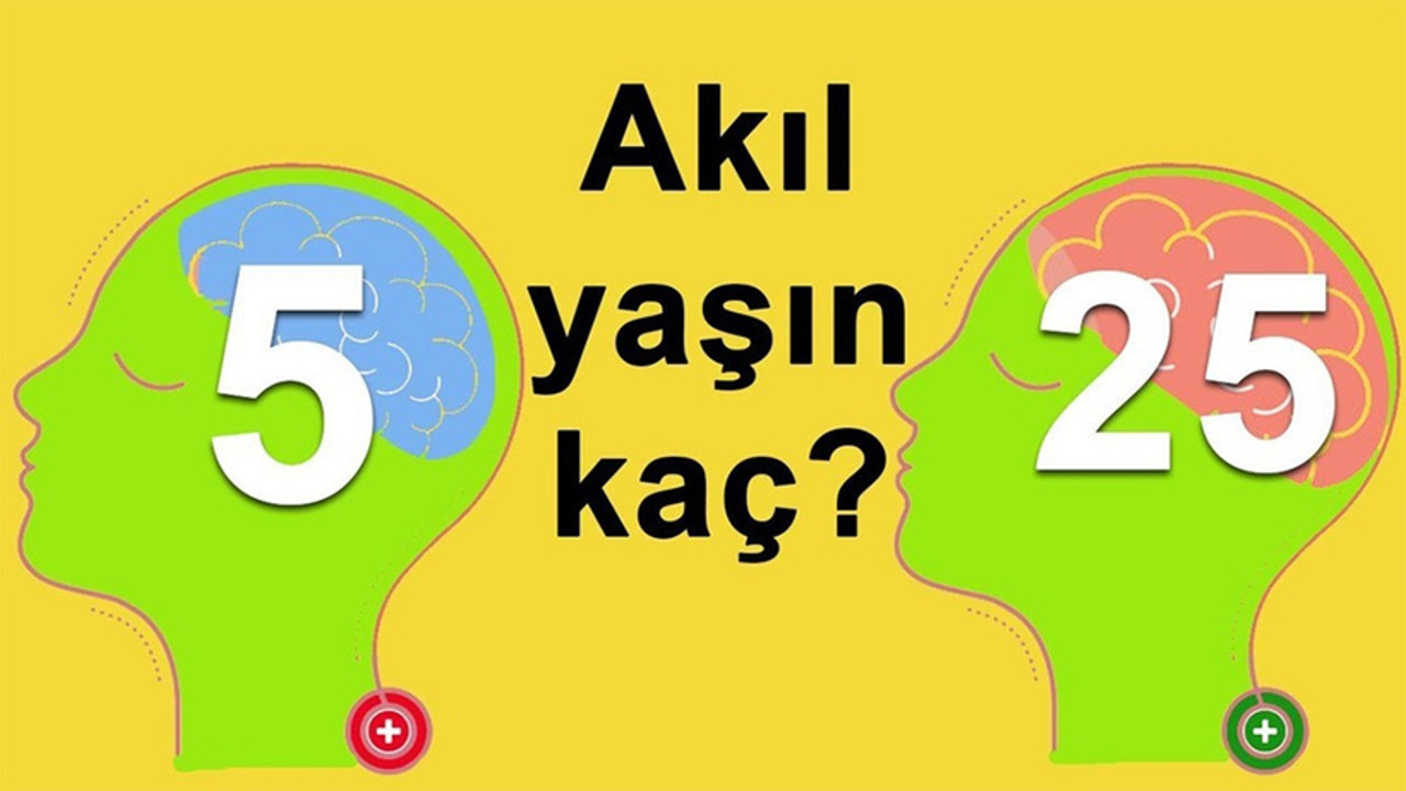 Senin akıl yaşın kaç? Bu kolay ve pratik test sayesinde akıl yaşınızı öğrenebilirsiniz