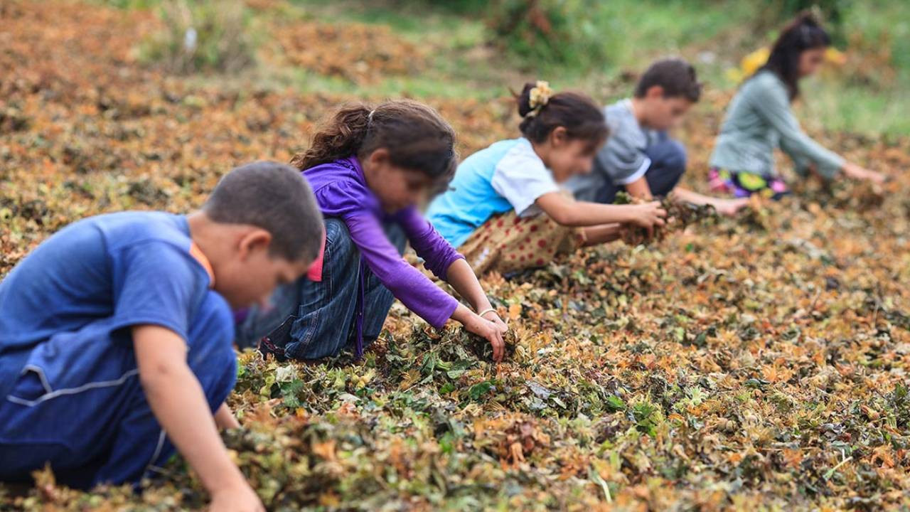 Derinleşen yoksulluğun faturası çocuklara çıktı: Her beş çocuktan biri çalışmak zorunda kaldı