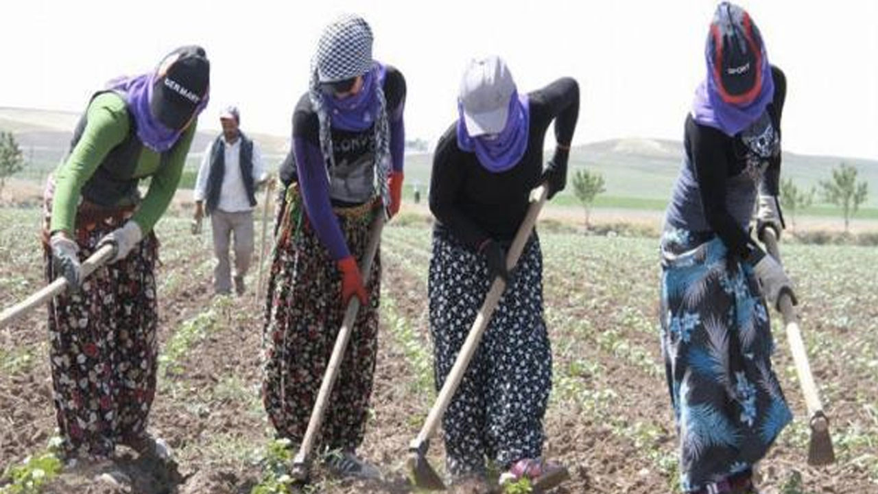 Mevsimlik tarım işçileriyle ilgili yeni düzenleme Resmi Gazete'de