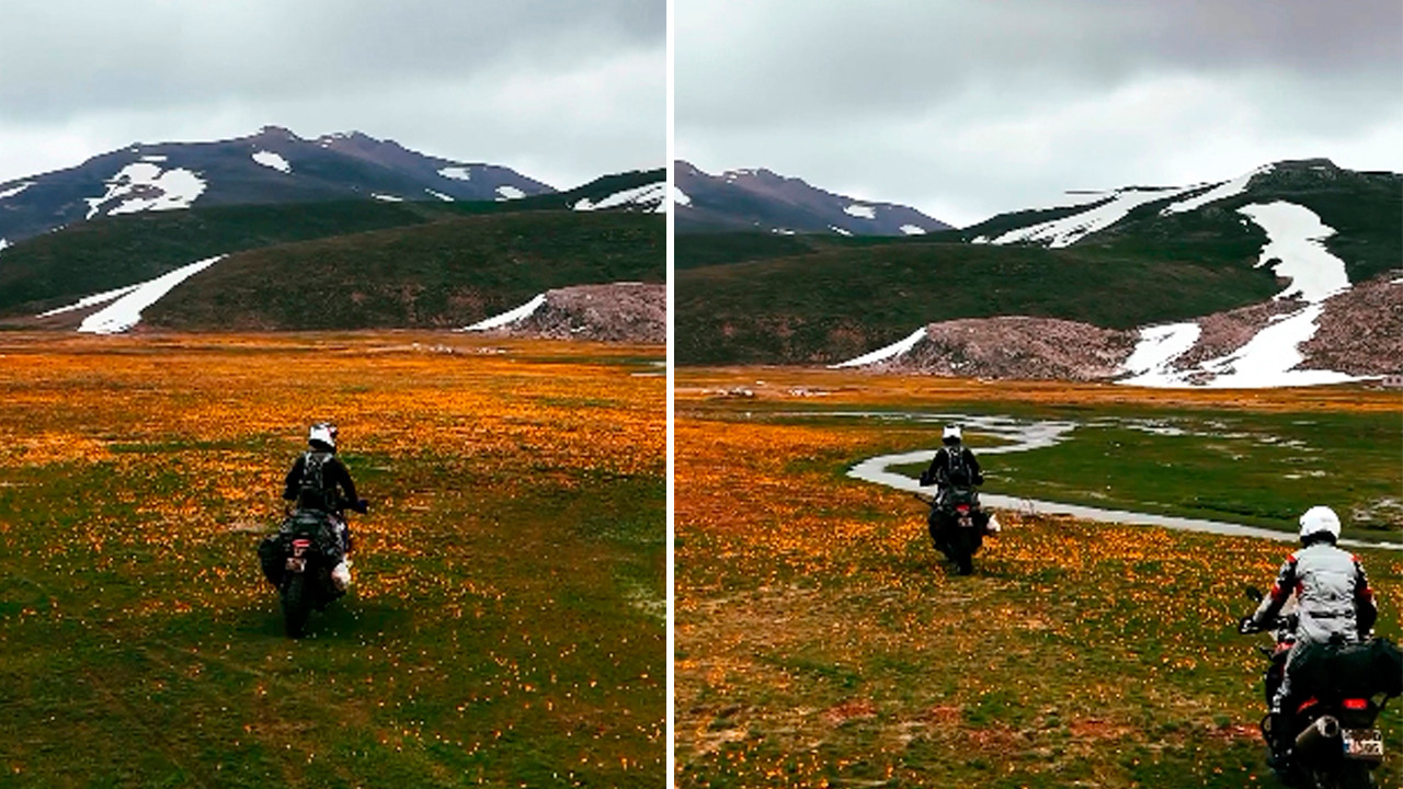 Endemik dağ lalelerini motosikletle ezdiler