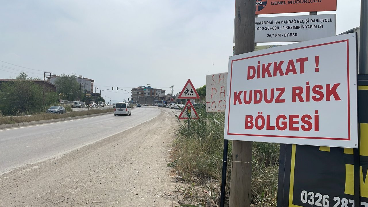 Hatay'da iki mahalle kuduz nedeniyle karantinaya alındı