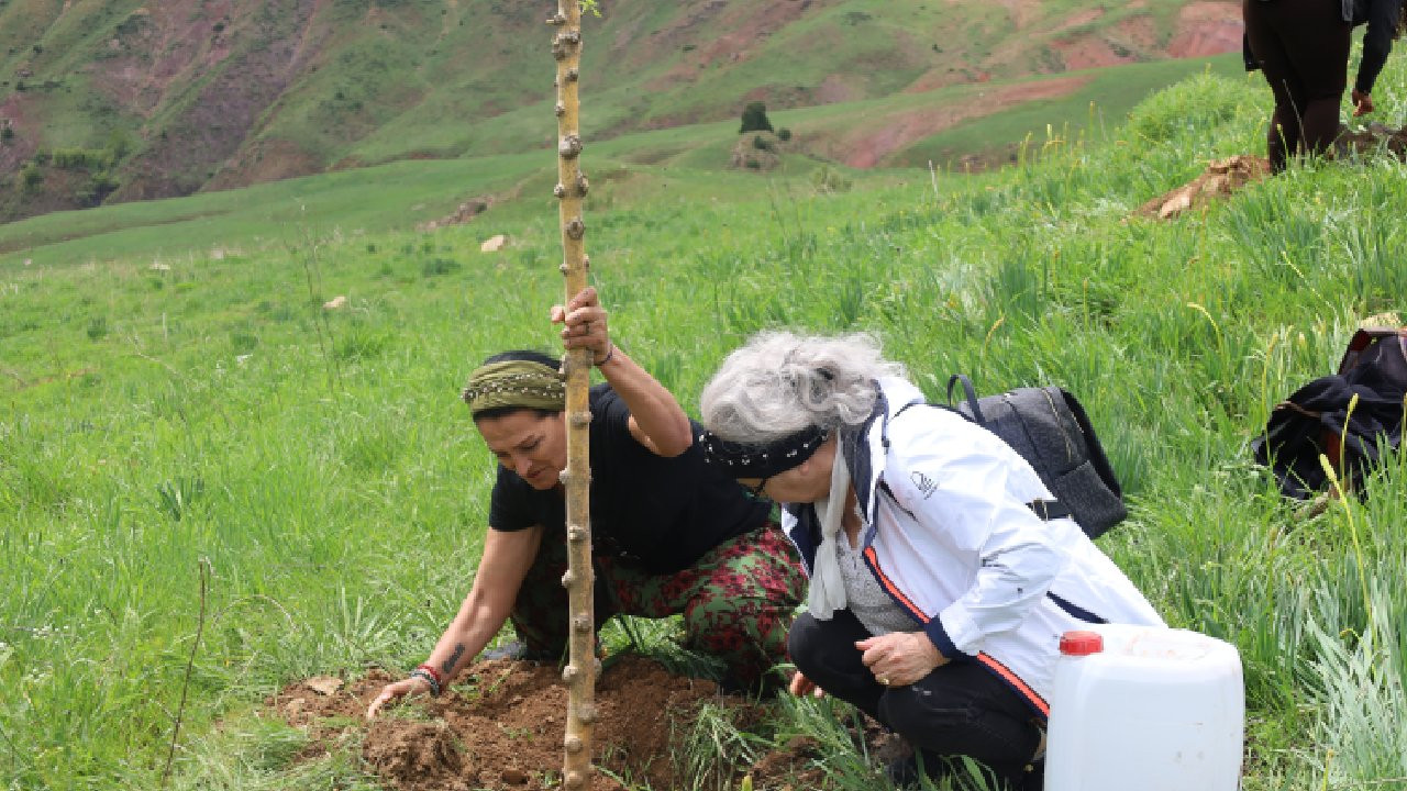 Dersim Katliamı'nın yıldönümü: Seyit Rıza ve arkadaşları için 40 fidan dikildi