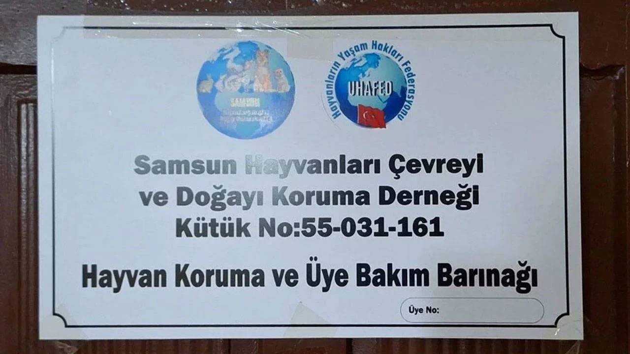 Hayvanları Çevreyi ve Doğayı Koruma Derneği'nde horoz dövüşü: 29 gözaltı