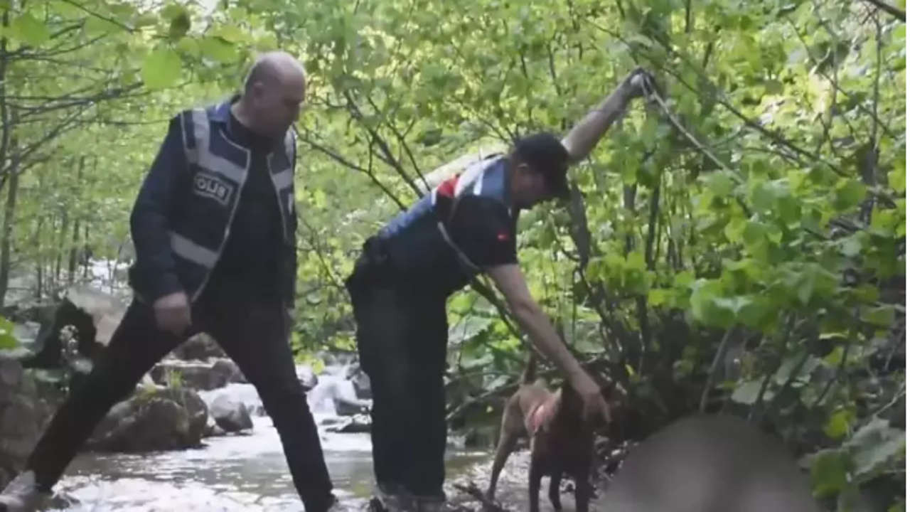 Giresun'da 50 gün önce 'kaybolan' Durmuş Demir ölü bulundu