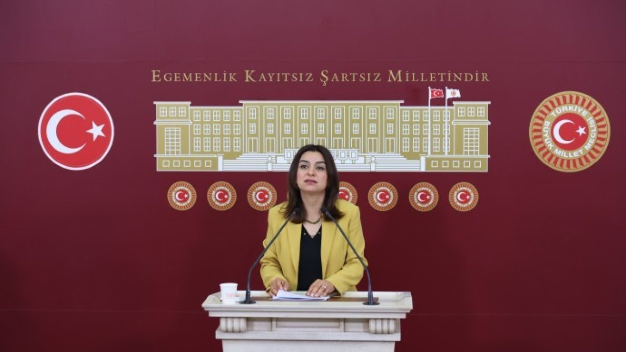 Koçyiğit'ten 'savaş yönetmeliği' tepkisi: Kürtler hedef haline getirilmek isteniyor