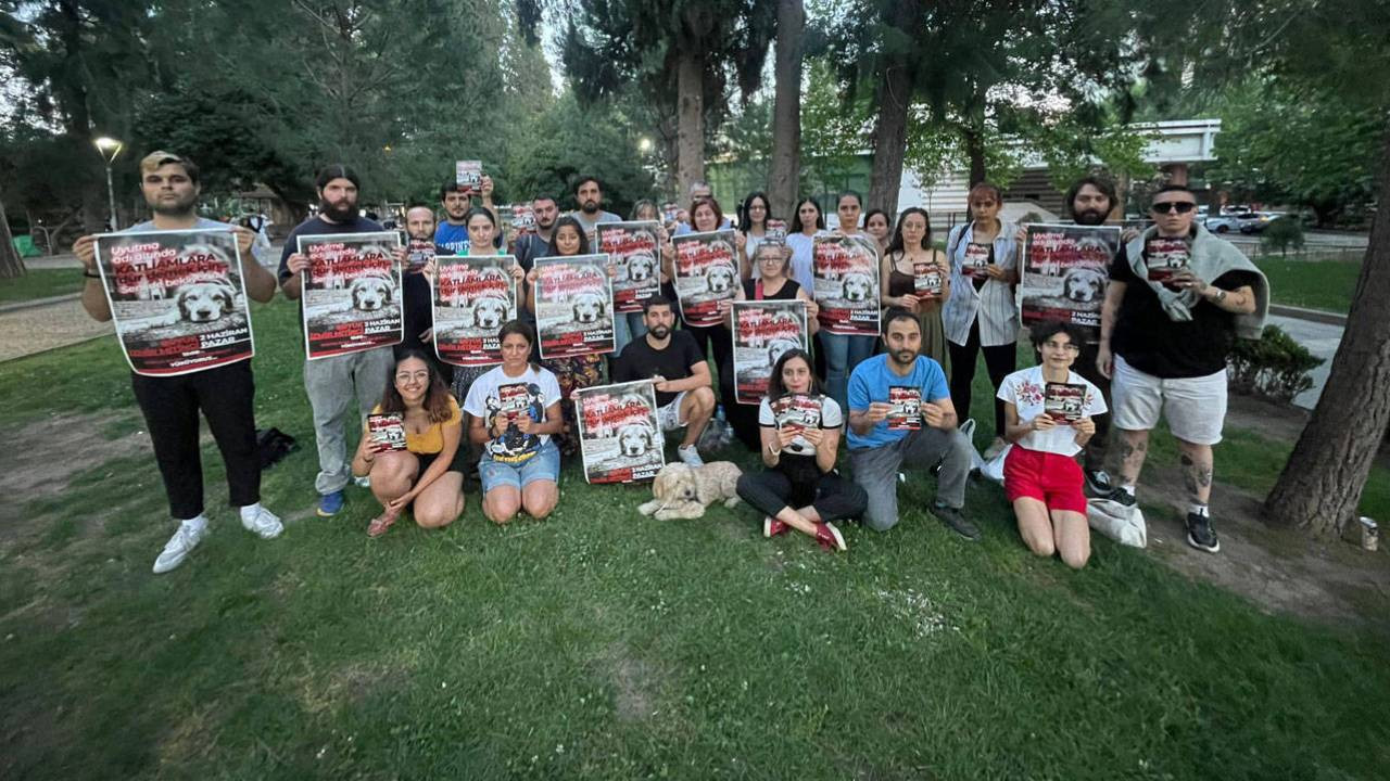 Sokak hayvanlarına yönelik katliam düzenlemesine karşı İstanbul ve İzmir’deki mitinge çağrı