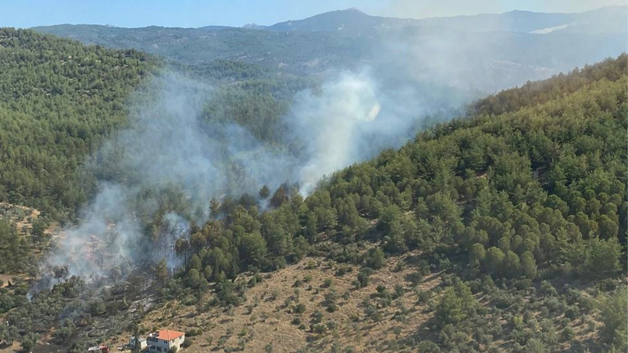 Milas’taki orman yangını söndürüldü