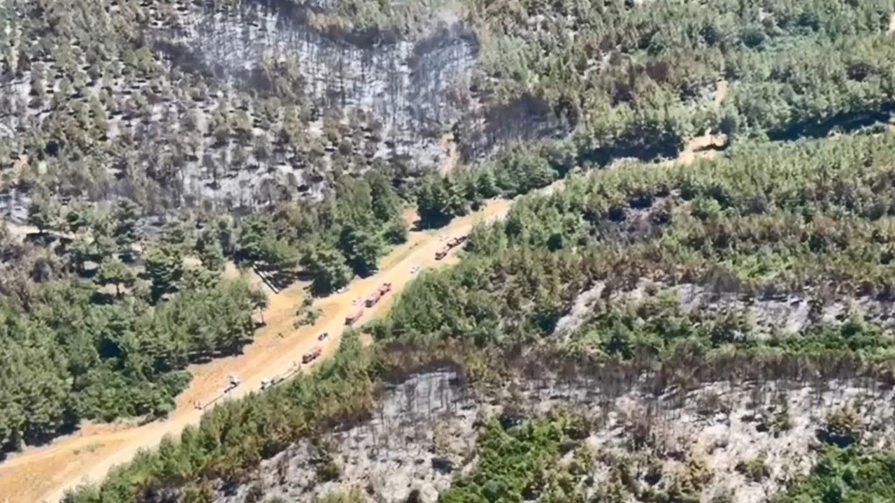 Çanakkale'deki orman yangını kontrol altına alındı