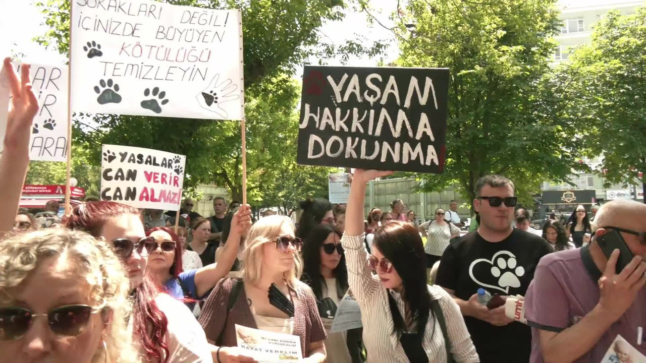 AKP, 'uyutma' adı altında katliamda ısrarcı: 'Uyutma olmak zorunda, yasada ötanaziolacak'