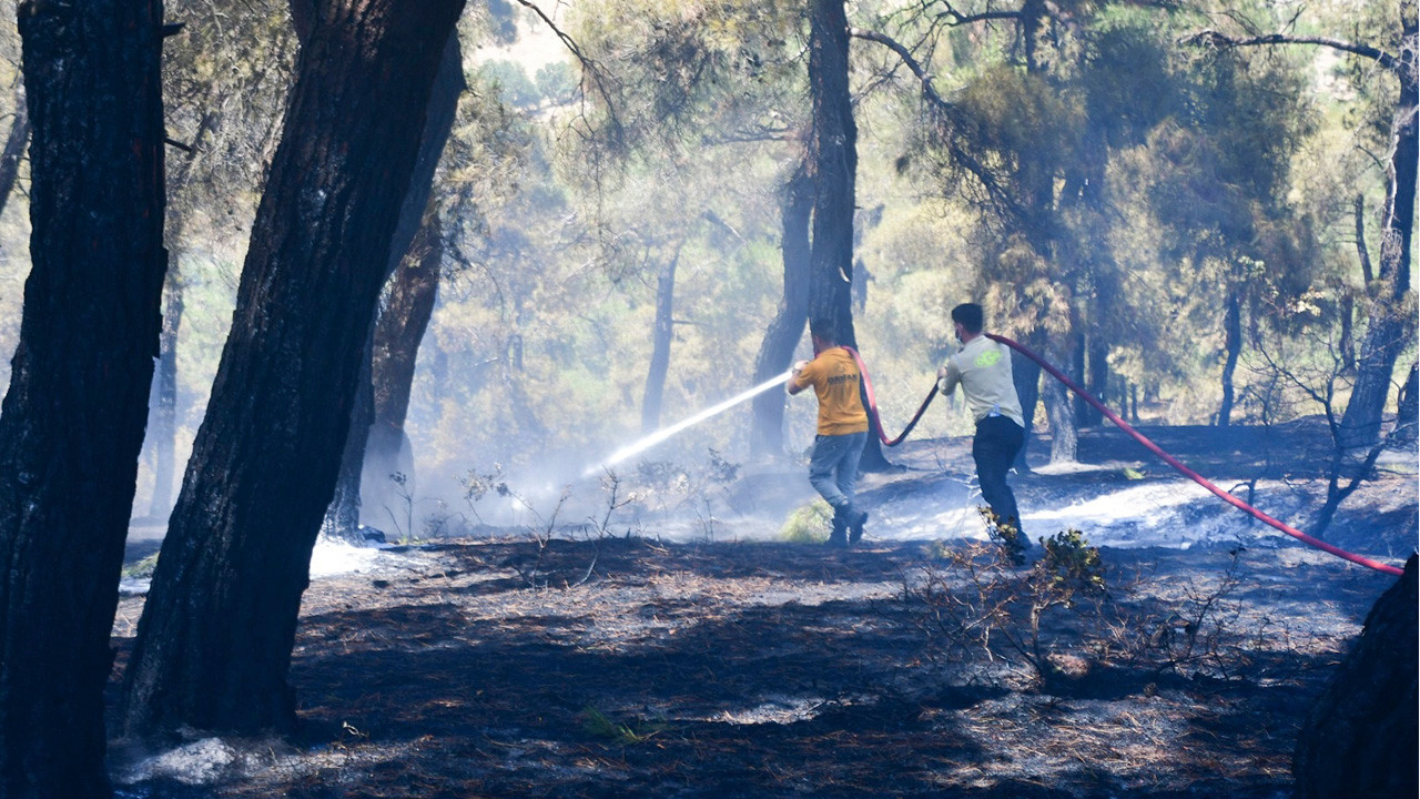 Balıkesir’deki orman yangını, 13 saatte kontrol altına alındı