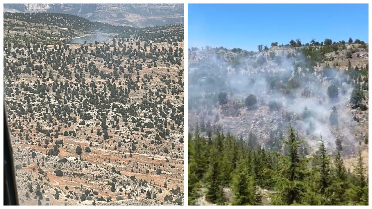 Mersin ve Muğla'da orman yangınları