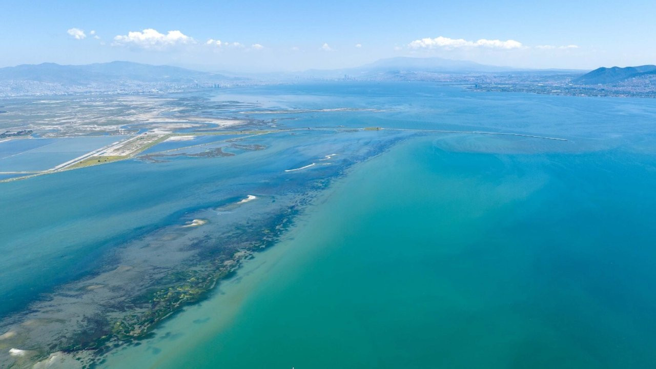 Akdeniz alarm veriyor: 'Deniz suyu tehlike boyutunda sıcaklığa ulaştı'