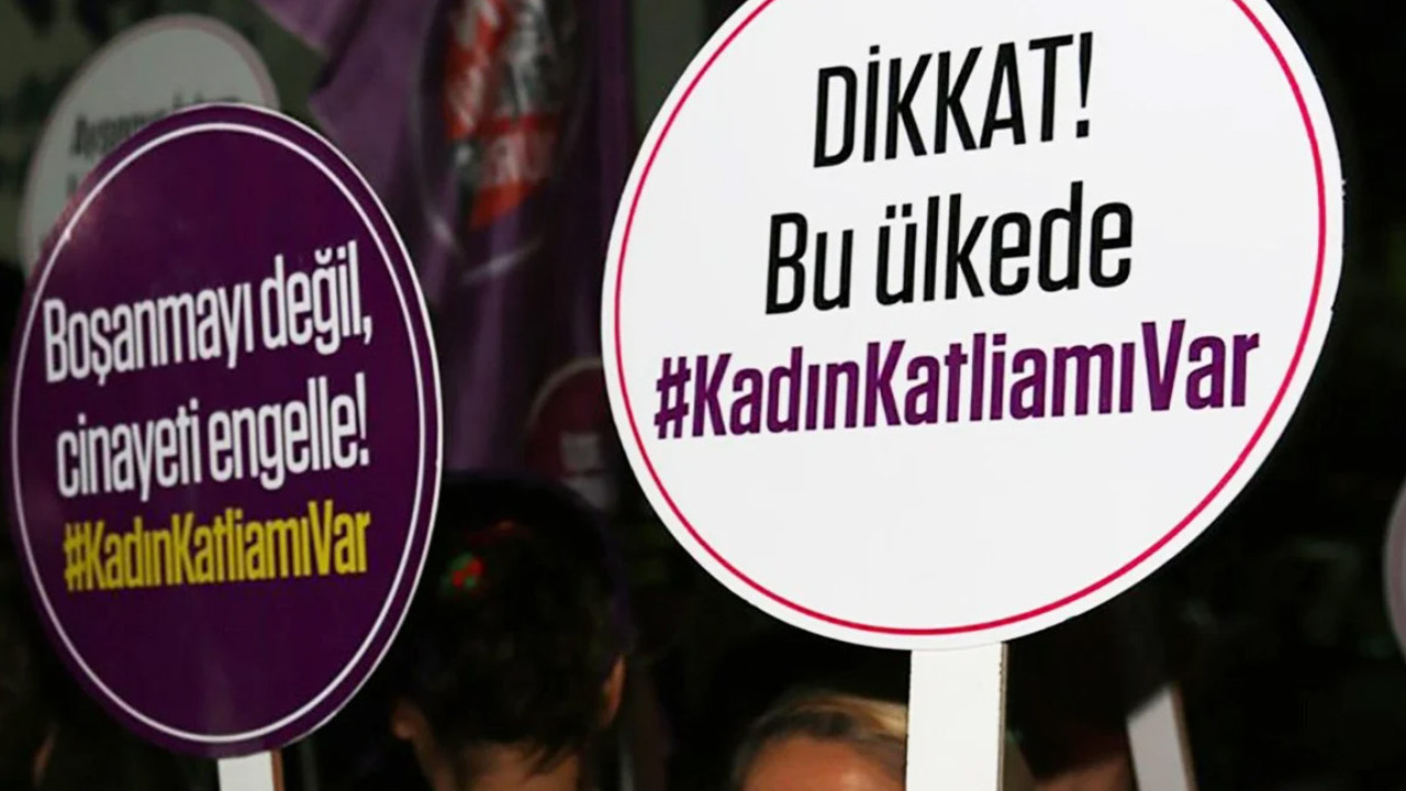 Türkiye Kadın Dernekleri Federasyonu: 2024'ün ilk 8 ayında en az 280 kadın erkekler tarafından öldürüldü