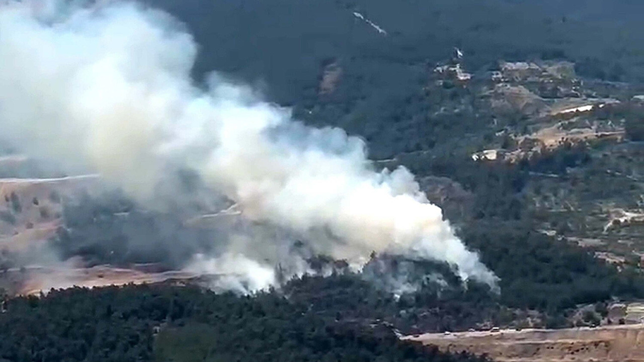 Manisa'da orman yangını