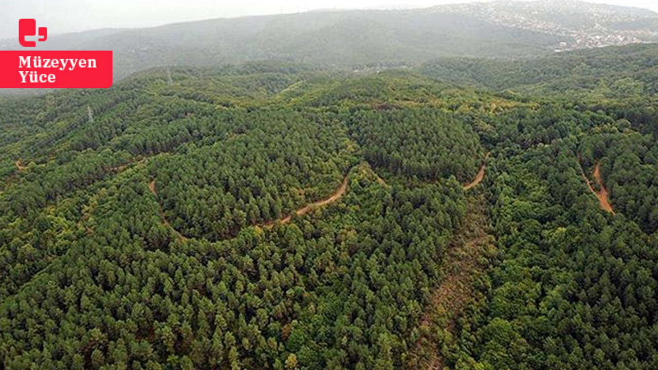 20 günde yaklaşık 2 milyon 500 bin metrekarelik orman işgali: 'Anayasaya aykırı'