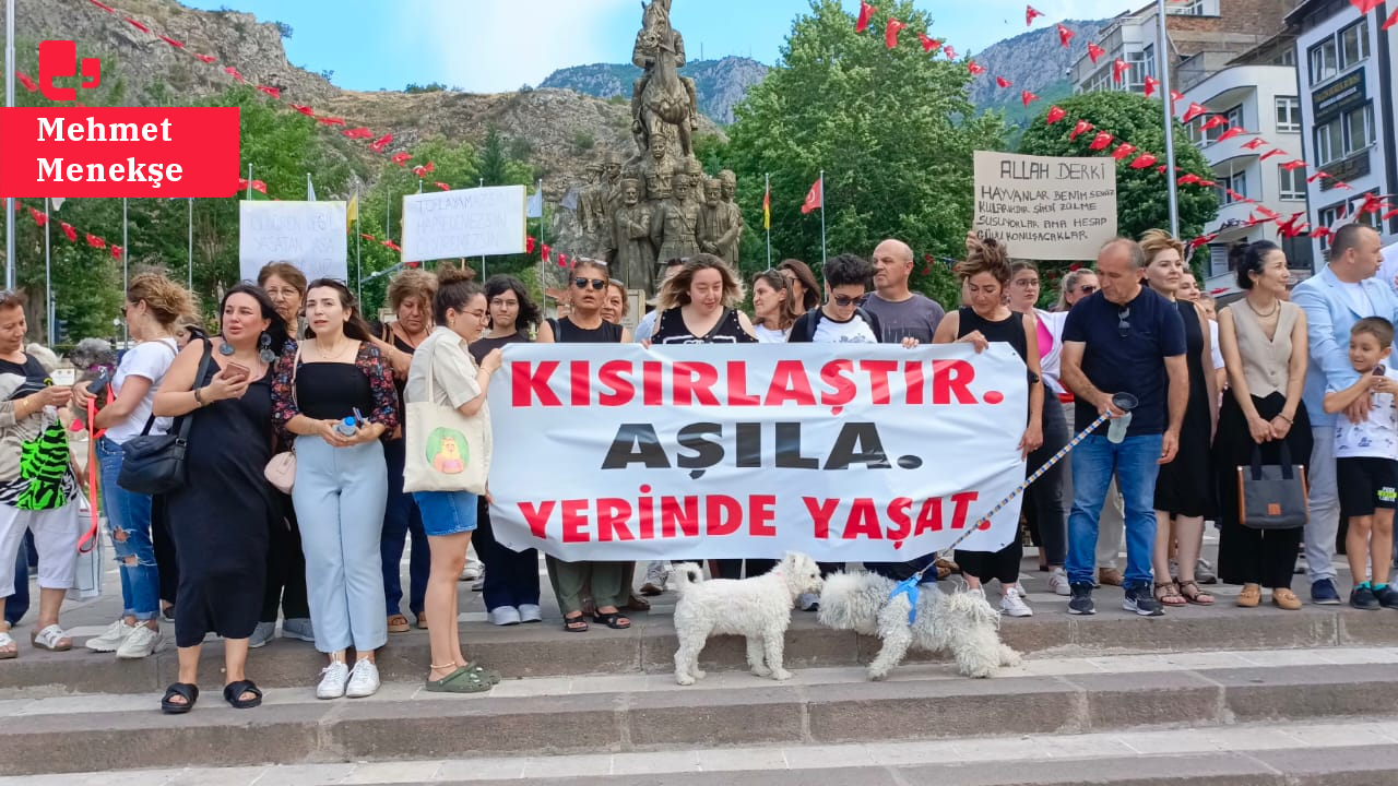 'Katliam Yasası' Amasya'da protesto edildi: 'Hayvanların öldürülmesini asla kabul etmiyoruz'