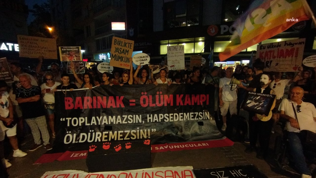 Hayvan hakları savunucularından "ötanazi" protestosu: 'Mecliste onaylansa da uygulanmasına izin vermeyeceğiz'