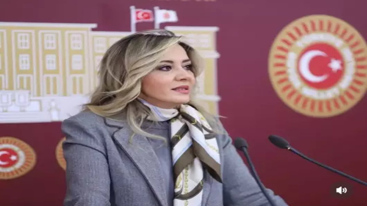 Aylin Cesur İYİ Parti'den istifa etti