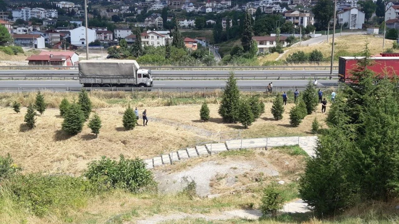 TEM Otoyolu kenarında çürümeye başlamış kadın cesedi bulundu