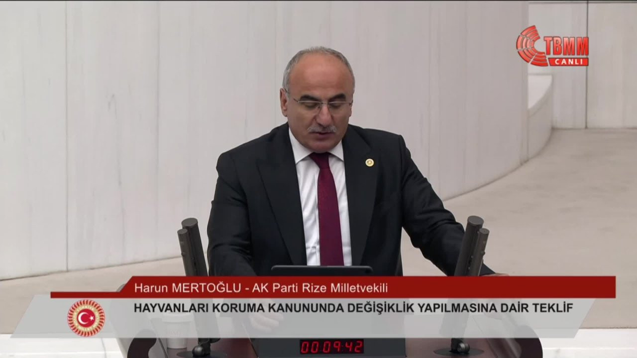 AKP Rize Milletvekili Mertoğlu: Kısırlaştırmada hayvanlardan izin alınması gerekiyor