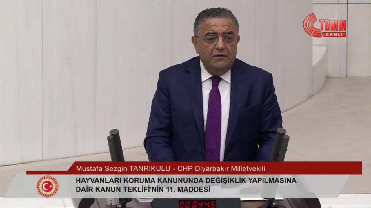 Sezgin Tanrıkulu: Canlılar konusunda uzlaşabilirdik, beceremedik ve bir kutuplaşmaya alet olduk