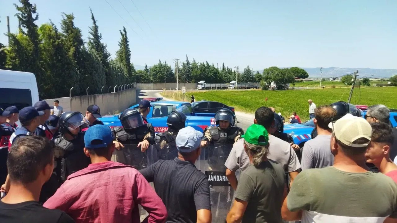 İzmir'de çiftçiler domates fiyatlarını protesto etti: 'Bizi bu hale sokan tarım bakanı utansın'