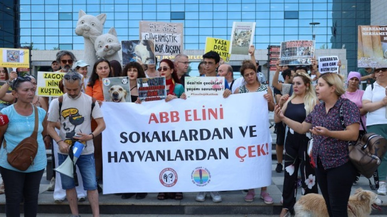 Hak savunucularından Mansur Yavaş'a tepki: 'Halkın belediye başkanı mısınız yoksa hayvan katillerinin mi?'